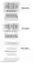 Fig. 717 - Integrated circuit containing DOEs of NCEM-enabled fill cells