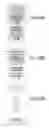 Fig. 770 - Integrated circuit containing DOEs of NCEM-enabled fill cells
