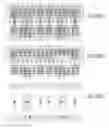 Fig. 796 - Integrated circuit containing DOEs of NCEM-enabled fill cells