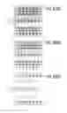 Fig. 901 - Integrated circuit containing DOEs of NCEM-enabled fill cells