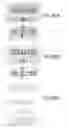 Fig. 978 - Integrated circuit containing DOEs of NCEM-enabled fill cells