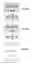 Fig. 982 - Integrated circuit containing DOEs of NCEM-enabled fill cells