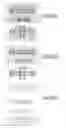 Fig. 983 - Integrated circuit containing DOEs of NCEM-enabled fill cells