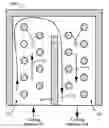 Fig. 01 - Cooling structure for integrated circuits and methods for forming such structure