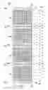 Fig. 13 - Leadframe strip assembly and method of processing