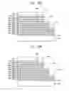 Fig. 32 - VERTICAL MEMORY DEVICES AND METHODS OF MANUFACTURING THE SAME