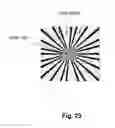 Fig. 33 - Optical systems fabricated by printing-based assembly