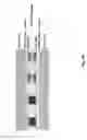 Fig. 50 - Optical systems fabricated by printing-based assembly