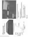Fig. 77 - Optical systems fabricated by printing-based assembly