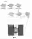 Fig. 15 - Optical systems fabricated by printing-based assembly