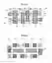 Fig. 04 - Semiconductor integrated circuit device