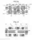 Fig. 10 - Semiconductor integrated circuit device