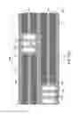 Fig. 108 - Through-memory-level via structures for a three-dimensional memory device