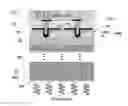 Fig. 01 - Semiconductor photo-detector