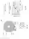 Fig. 12 - Adjustable multi-turn magnetic coupling device