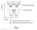 Fig. 02 - High mobility transport layer structures for rhombohedral Si/Ge/SiGe devices