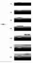 Fig. 06 - Optical systems fabricated by printing-based assembly
