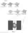 Fig. 15 - Optical systems fabricated by printing-based assembly