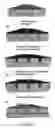 Fig. 68 - Optical systems fabricated by printing-based assembly