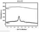 Fig. 09 - Piezoelectric material comprising poly(D-lactic acid)/poly(L-lactic acid) stereocomplex crystals