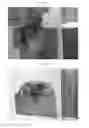 Fig. 14 - Method for passive metal activation and uses thereof