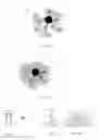 Fig. 03 - Active material with expansion structure for use in lithium ion batteries