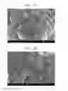Fig. 07 - Composite positive active material, method of preparing the same, positive electrode including the composite positive active material, and lithium battery including the positive electrode