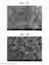 Fig. 08 - Composite positive active material, method of preparing the same, positive electrode including the composite positive active material, and lithium battery including the positive electrode