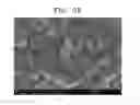 Fig. 09 - Composite positive active material, method of preparing the same, positive electrode including the composite positive active material, and lithium battery including the positive electrode