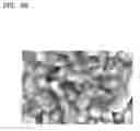 Fig. 05 - Cathode active material, cathode and lithium battery including the same, and method of preparing the cathode active material