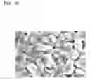 Fig. 06 - Cathode active material, cathode and lithium battery including the same, and method of preparing the cathode active material