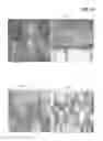 Fig. 15 - Electrolytes for iron flow battery