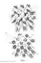 Fig. 02 - Soft-solid crystalline electrolyte compositions and methods for producing the same