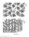 Fig. 04 - Soft-solid crystalline electrolyte compositions and methods for producing the same