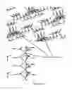 Fig. 05 - Soft-solid crystalline electrolyte compositions and methods for producing the same