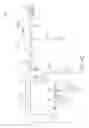Fig. 32 - Chip-scale radio-frequency localization devices and associated systems and methods