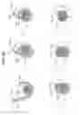 Fig. 16 - Crimp terminal