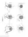 Fig. 10 - Crimp terminal