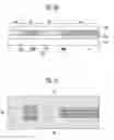 Fig. 09 - Semiconductor optical device