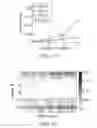 Fig. 11 - Communicating through physical vibration