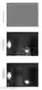 Fig. 171 - Information processing program, reception program, and information processing apparatus