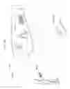 Fig. 220 - Information processing program, reception program, and information processing apparatus