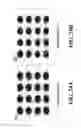 Fig. 25 - Techniques for receiving DFT spreading modulation signals