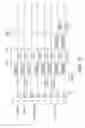 Fig. 06 - Wireless communication device and wireless communication method
