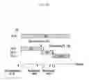 Fig. 32 - DISTRIBUTED MULTI-POINTS COORDINATED DYNAMIC CELL CONTROL APPARATUS AND CONTROL METHOD THEREOF, AND DISTRIBUTED MULTI-POINTS COORDINATED DYNAMIC CELL CONFIGURATION METHOD