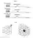 Fig. 09 - Methods used in serving radio node and control node, and associated devices