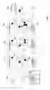 Fig. 06 - DISCOVERY OF SECURE NETWORK ENCLAVES