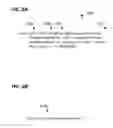 Fig. 08 - Methods and systems for processing electronic messages