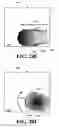 Fig. 53 - Apparatuses, systems and methods for constructing unique identifiers