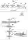 Fig. 04 - Information processing apparatus and wireless communication method